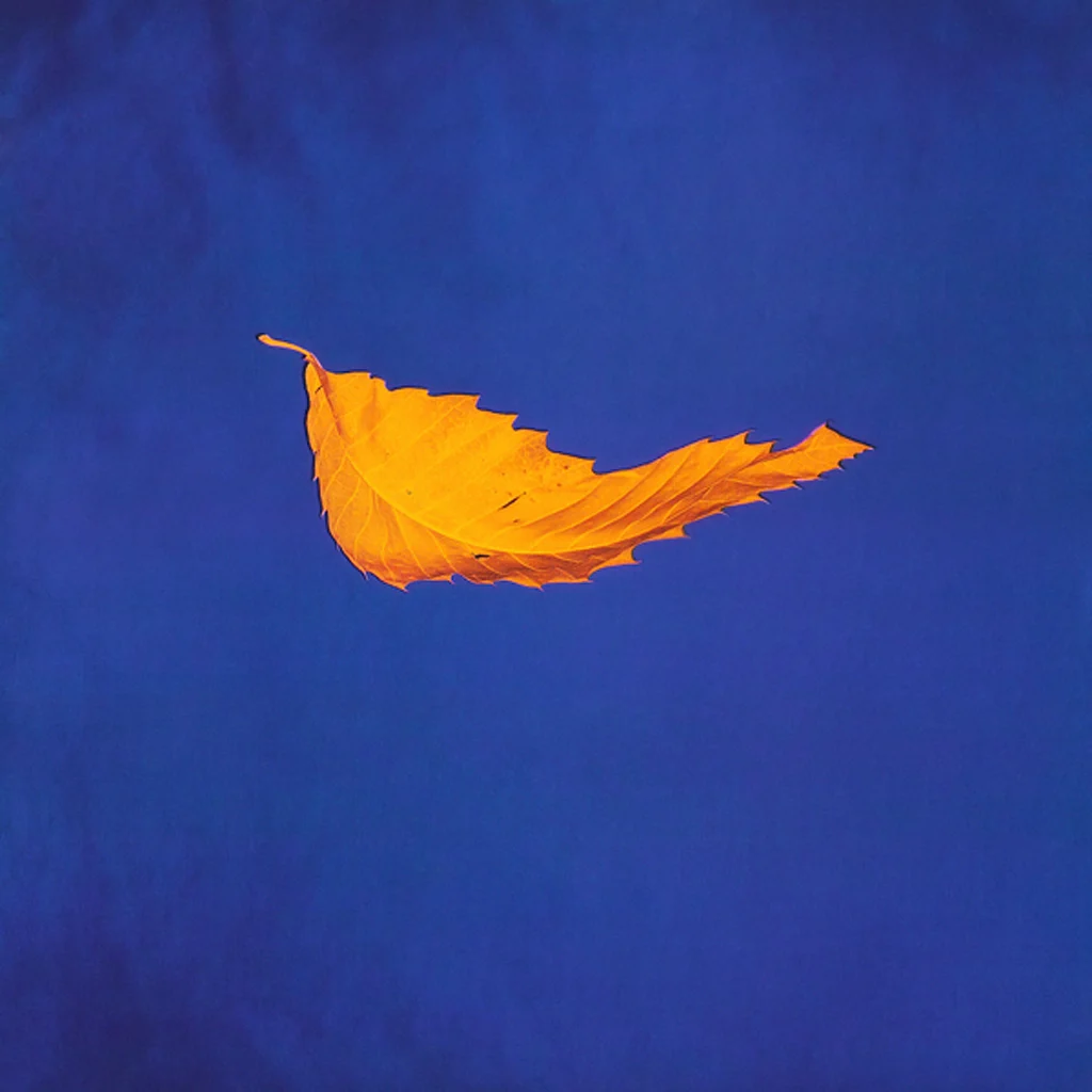 New Order - True Faith - UK 7'' Cover - Front